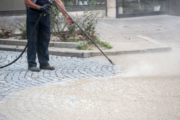 Animal Enclosure Cleaning in New Kensington, PA